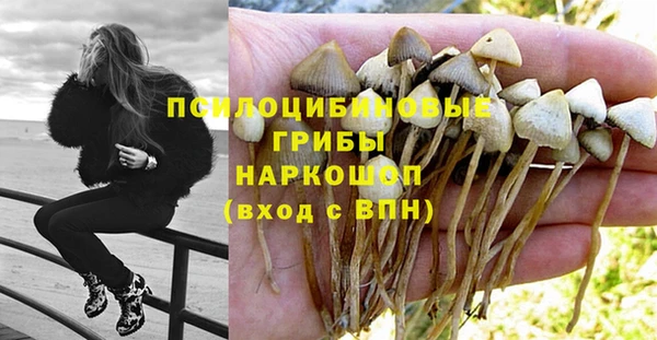 молекула духа Янаул