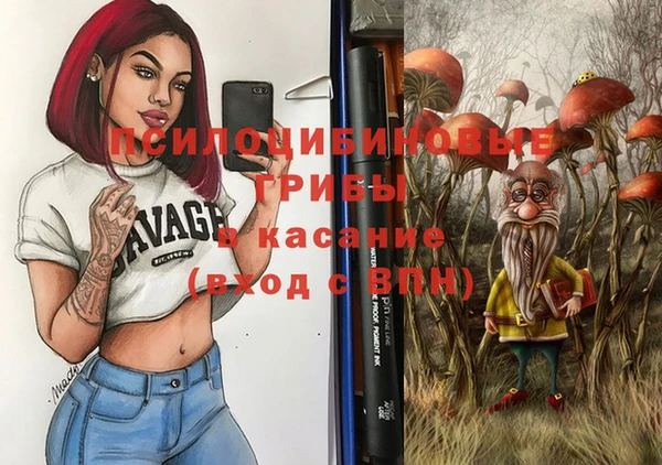 гашик Михайловка