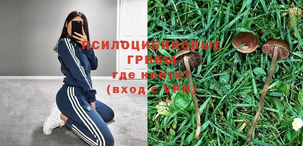 гашик Михайловка
