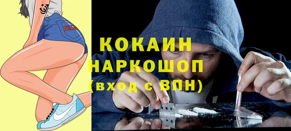 гашик Михайловка