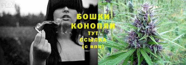 гашик Михайловка