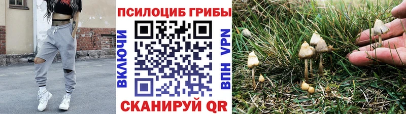 Псилоцибиновые грибы прущие грибы  как найти закладки  Алатырь 